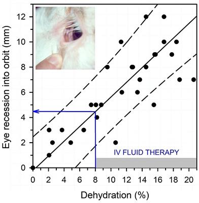 Intravenous and Oral Fluid Therapy in Neonatal Calves With Diarrhea or Sepsis and in Adult Cattle